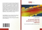 Le puceron doré du pistachier de l'Atlas de Laghouat