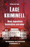 Lage kriminell (eBook, ePUB)