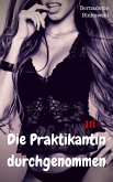 Die Praktikantin durchgenommen (eBook, ePUB)