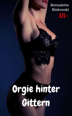 Orgie hinter Gittern (eBook, ePUB) - Binkowski, Bernadette