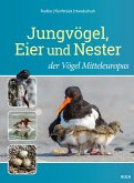 Jungvögel, Eier und Nester der Vögel Mitteleuropas