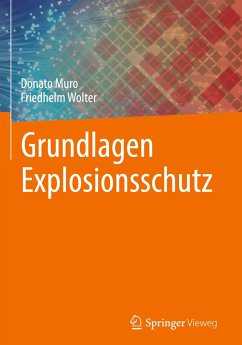 Grundlagen Explosionsschutz - Muro, Donato;Wolter, Friedhelm