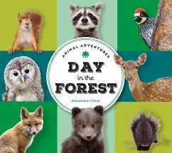 Cover Animal Adventures: Day in the Forest