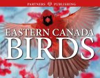 Eastern Canada Birds