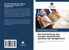 Die Entwicklung des somato-motorischen Systems bei Säugetieren - Figueiredo Anomal, Renata