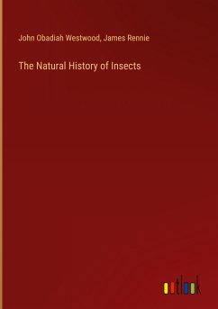 The Natural History of Insects - Westwood, John Obadiah; Rennie, James
