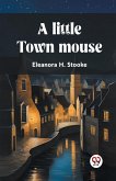 A little town mouse