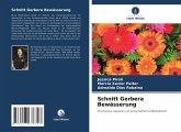 Schnitt Gerbera Bewässerung