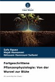 Fortgeschrittene Pflanzenphysiologie: Von der Wurzel zur Blüte