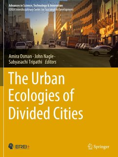 The Urban Ecologies of Divided Cities