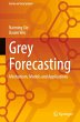 Grey Forecasting - Bild 1