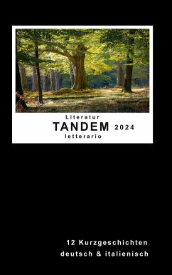 Literatur Tandem letterario 2024 (eBook, ePUB)