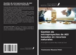 Gestión de microproyectos de AGI basados en recursos naturales - Petel, Younoussa Moussa