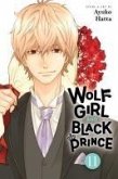 Wolf Girl and Black Prince, Vol. 11