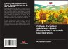 Culture d'acariens prédateurs (Acari:... - Bild 1
