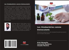 Les rhizobactéries comme bioinoculants - Mesquita, Ariel;Bandeira, Leonardo;Martins, Claudia