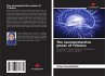 The neuroprotective power of Tribulus - Bild 1
