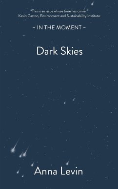 Dark Skies - Levin, Anna