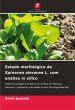 Estudo morfológico de Spinacea... - Bild 1