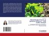 Morphological Study on Spinacea... - Bild 1