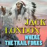 Where the Trail Forks (MP3-Download) - Bild 1