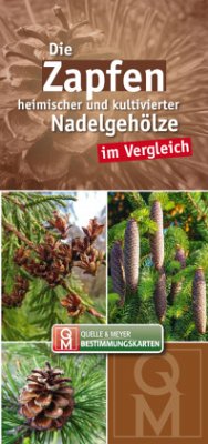 Cover Die Zapfen heimischer und kultivierter Nadelgehölze im Vergleich