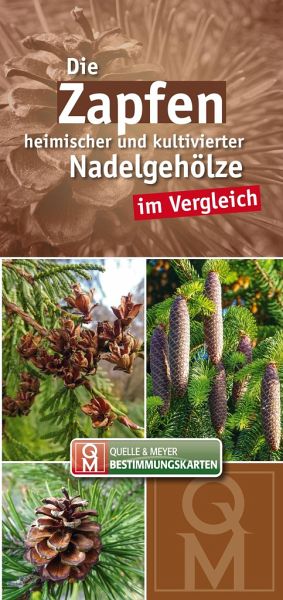 Die Zapfen heimischer und kultivierter Nadelgehölze im Vergleich Die Zapfen heimischer und kultivierter Nadelgehölze im Vergleich