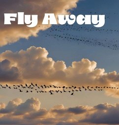 Cover Fly Away