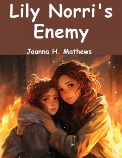 Lily Norri's Enemy - Joanna H. Mathews