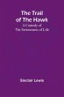 The Trail of the Hawk - Bild 1