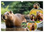 Capybaras - Wasserschweine die Herren der Gräser (Wandkalender 2025 DIN A3 quer), CALVENDO Monatskalender