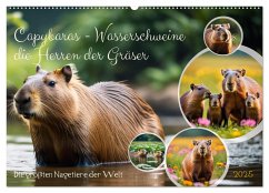 Capybaras - Wasserschweine die Herren der Gräser (Wandkalender 2025 DIN A2 quer), CALVENDO Monatskalender