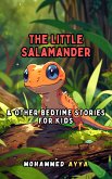 The Little Salamander (eBook, ePUB)