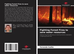 Fighting Forest Fires to save water resources - Coelho, Fernando