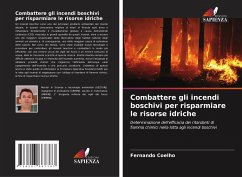 Cover Combattere gli incendi boschivi per risparmiare le risorse idriche