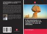 A documentação e a caraterização da... - Bild 1