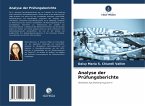 Analyse der Prüfungsberichte