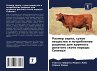 Razmer zerna, suhoe weschestwo i... - Bild 1