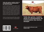 Taille des grains, matière sèche et consommation de l'alimentation des bovins Senepol