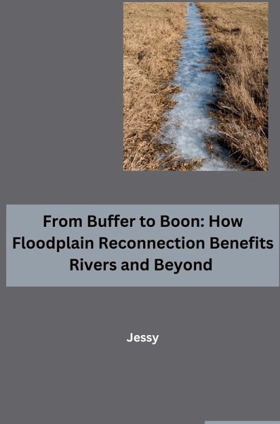 From Buffer to Boon: How Floodplain Reconnection Benefits Rivers and Beyond From Buffer to Boon: How Floodplain Reconnection Benefits Rivers and Beyond