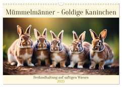 Mümmelmänner - Goldige Kaninchen (Wandkalender 2025 DIN A3 quer), CALVENDO Monatskalender