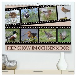 PIEP-SHOW im Ochsenmoor (hochwertiger Premium Wandkalender 2025 DIN A2 quer), Kunstdruck in Hochglanz