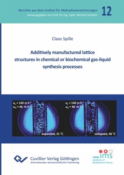 Additively Manufactured Lattice Structures in Chemical or Biochemical Gas-liquid Synthesis Processes - Spille, Claas