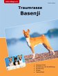 Traumrasse Basenji - Bild 1