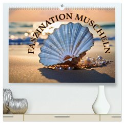 Faszination Muscheln (hochwertiger Premium Wandkalender 2025 DIN A2 quer), Kunstdruck in Hochglanz