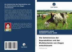 Die Geheimnisse der Reproduktion und der Blutbiochemie von Ziegen entschlüsseln - KOUR, KAWARDEEP;Azad, Mandeep Singh