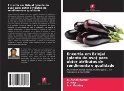 Enxertia em Brinjal (planta do ovo) para obter atributos de rendimento e qualidade - Ashok Kumar, B.;Raja, P.;Pandey, A.K.