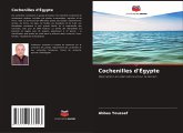 Cochenilles d'Égypte