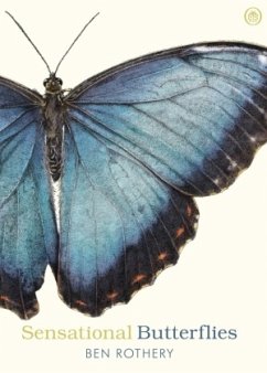 Cover Sensational Butterflies
