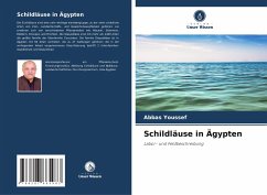 Schildläuse in Ägypten - Youssef, Abbas